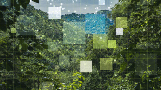 Abstract smart nature scene, networking, technology