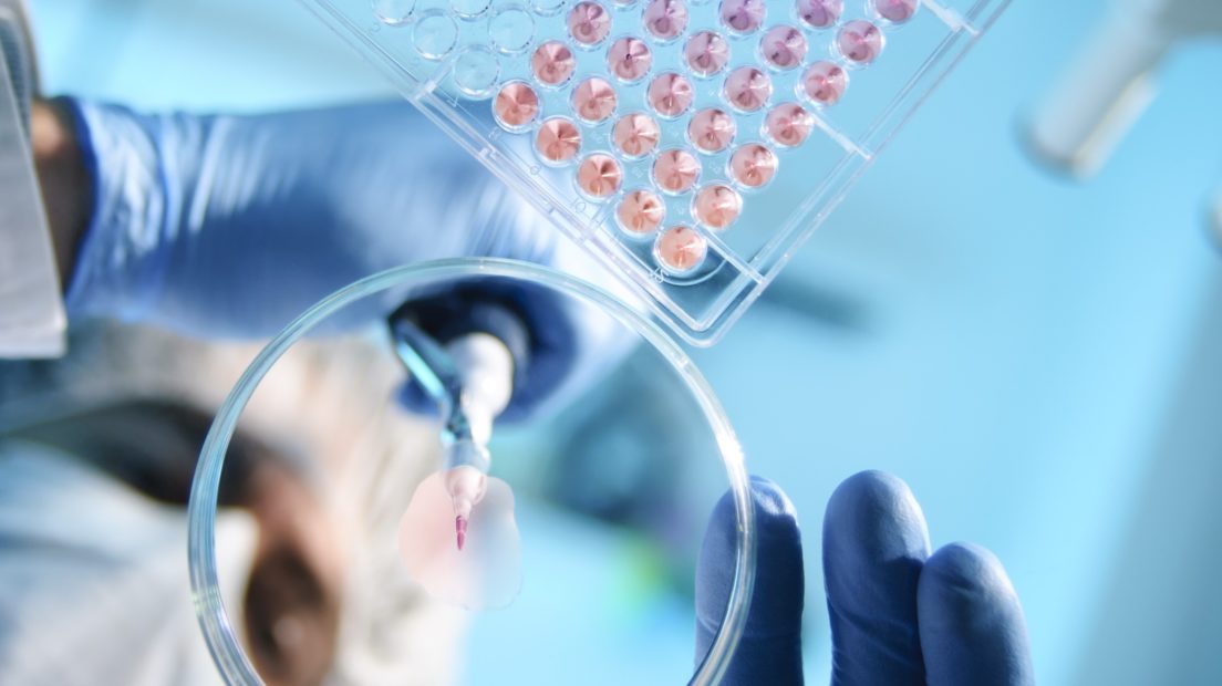 A scientist using a pipette with a microtiter plate and a petri dish.